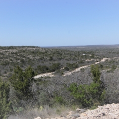 PASTURE-2-NNE-MILE-ROAD.