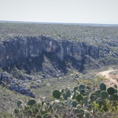 RANCH-TRAIL-PASTURE-4